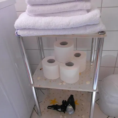 公寓 艾特斯塔弗拉尔公寓 *