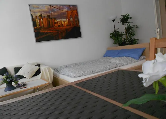 艾特斯塔弗拉尔公寓 公寓